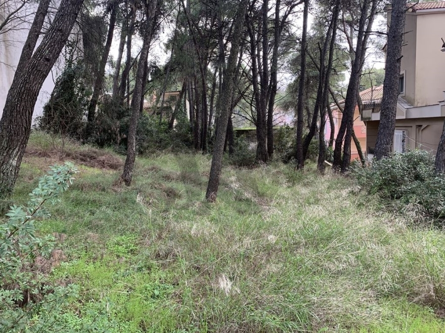 (For Sale) Land Plot || East Attica/Anoixi - 686 Sq.m, 330.000€ 