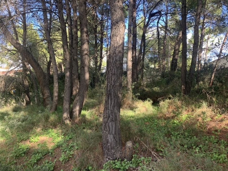 (For Sale) Land Plot || Athens North/Penteli - 1.249 Sq.m, 600.000€ 