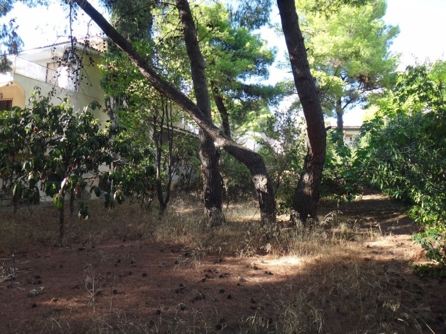 (For Sale) Land Plot || Athens North/Kifissia - 640 Sq.m, 784.000€ 