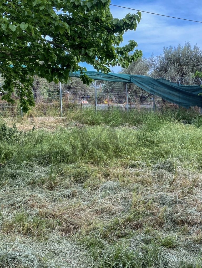 (Προς Πώληση) Αξιοποιήσιμη Γη Βιομηχανικό Οικόπεδο || Αθήνα Βόρεια/Κηφισιά - 1.280 τ.μ, 750.000€ 