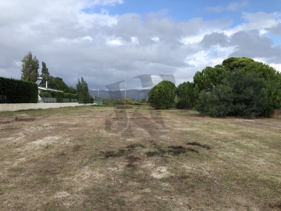 (For Sale) Land Plot || East Attica/Marathonas - 4.435 Sq.m, 350.000€ 