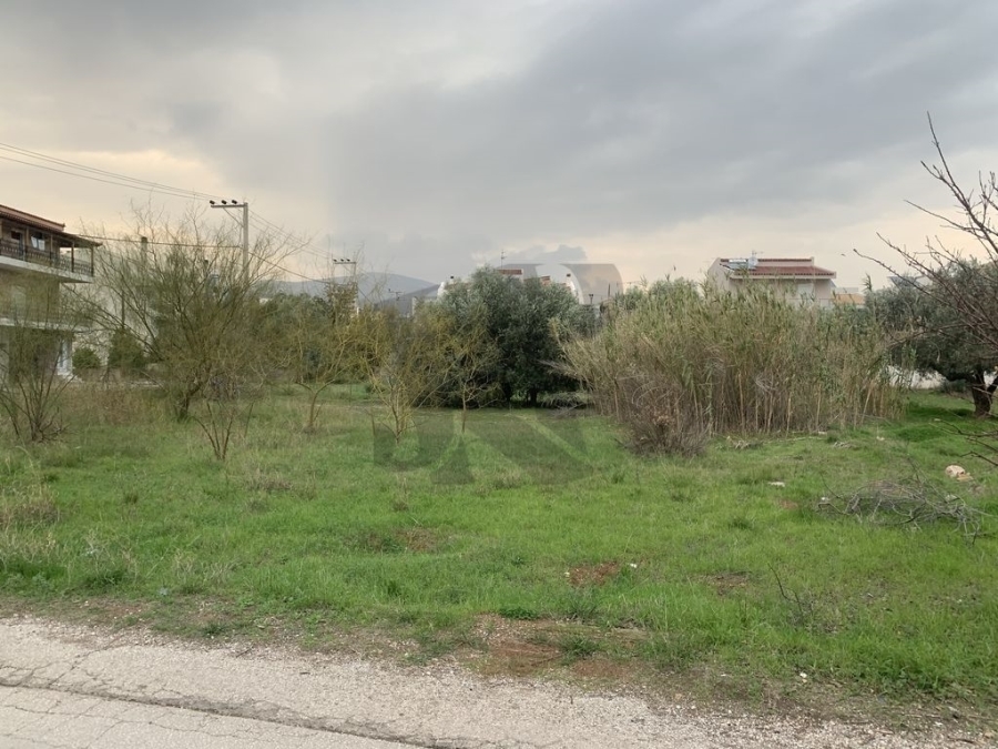 (For Sale) Land Plot || East Attica/Vari-Varkiza - 1.000 Sq.m, 300.000€ 