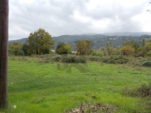 (For Sale) Land Plot || Athens North/Penteli - 1.230 Sq.m, 500.000€ 