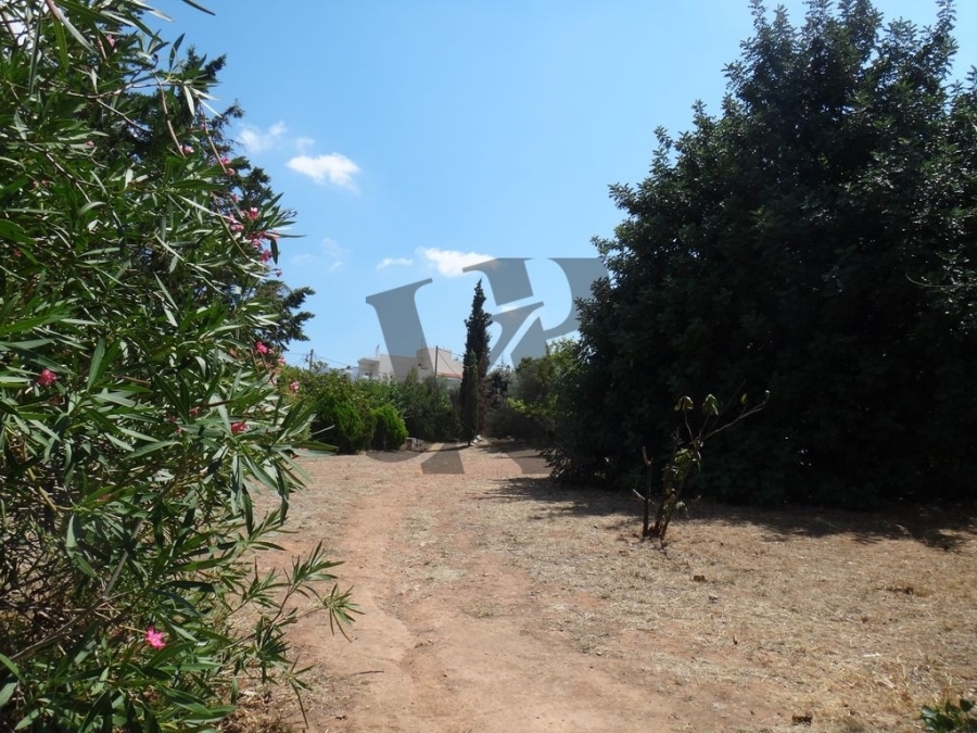 (For Sale) Land Plot || Athens North/Kifissia - 1.000 Sq.m, 800.000€ 